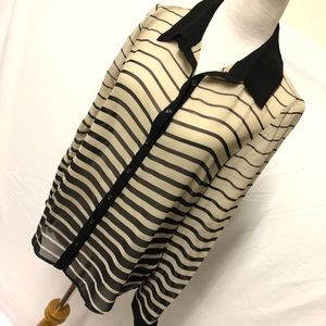 Sheer Striped Blouse